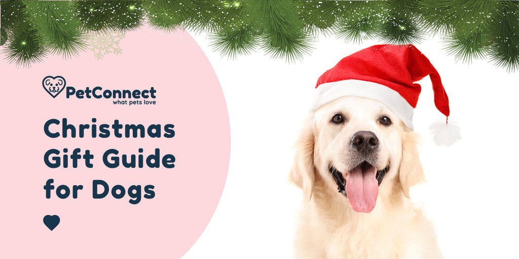 Christmas Gift Guide For Dogs 2021 – Pet Connect NZ