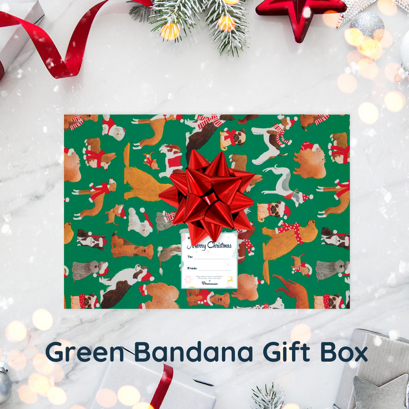 Christmas Dog Gift Box