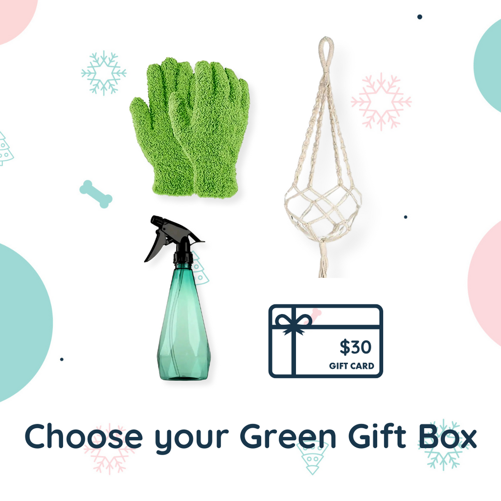 Choose your Green Gift Box