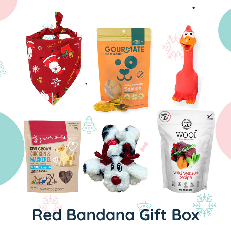 Christmas Dog Gift Box