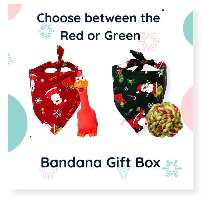 Christmas Dog Gift Box