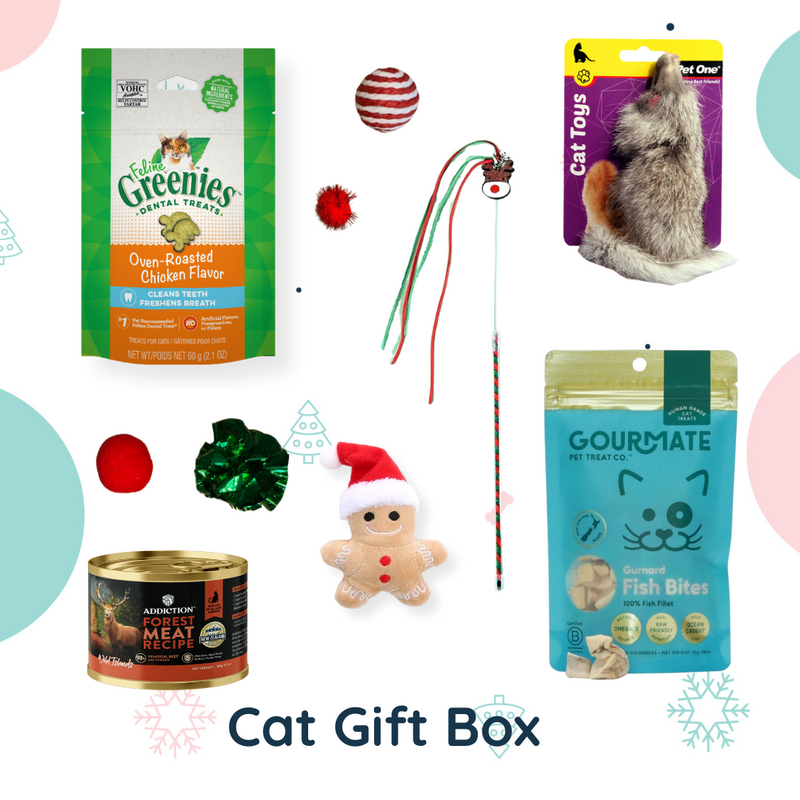 Christmas Cat Gift Box