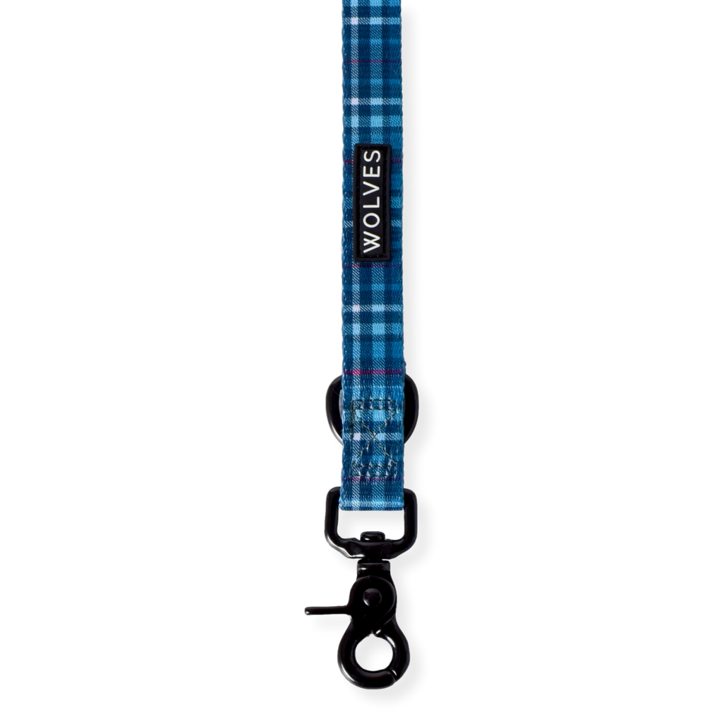 Wolves of Wellington Adjustable Dog Lead Lochie