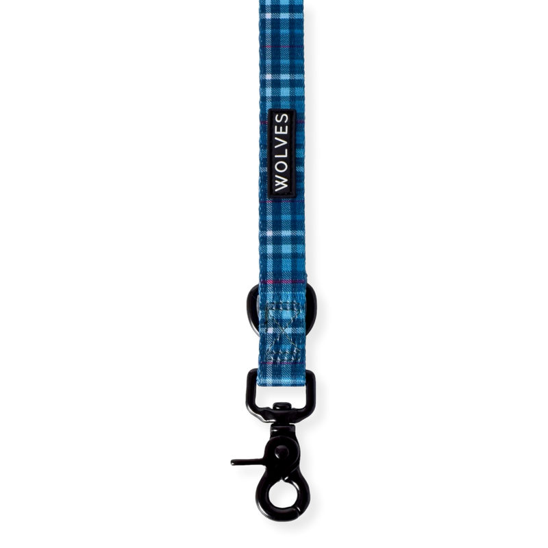 Wolves of Wellington Adjustable Dog Lead Lochie