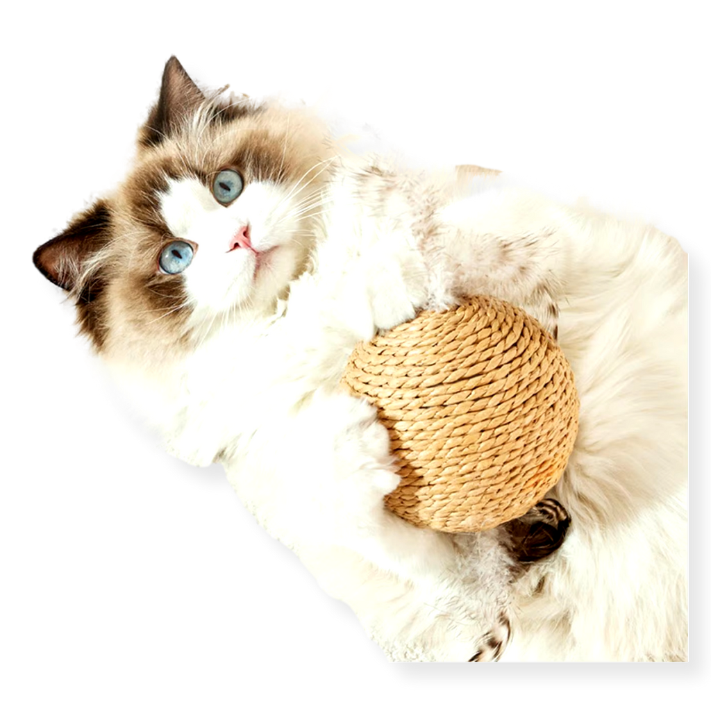 Feline Fine Sisal Ball Cat Toy 10cm