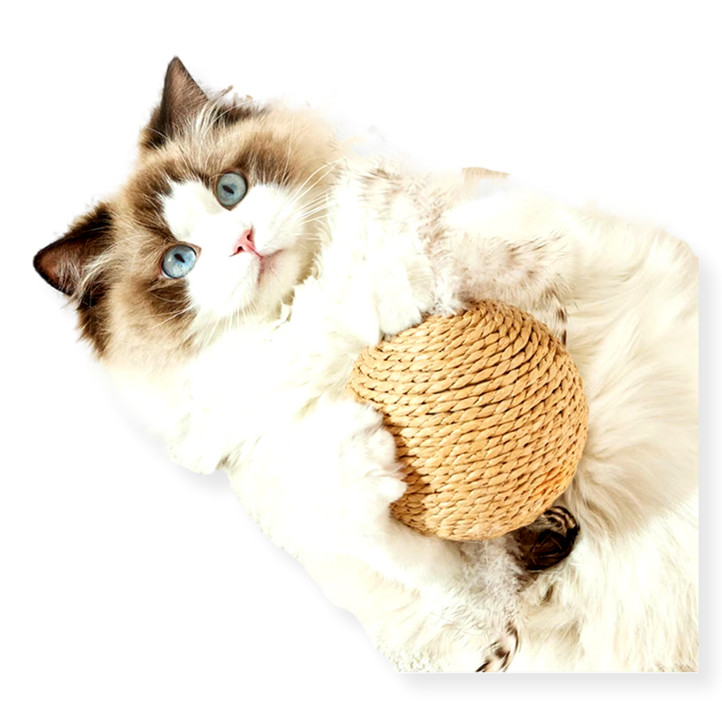 Feline Fine Sisal Ball Cat Toy 10cm