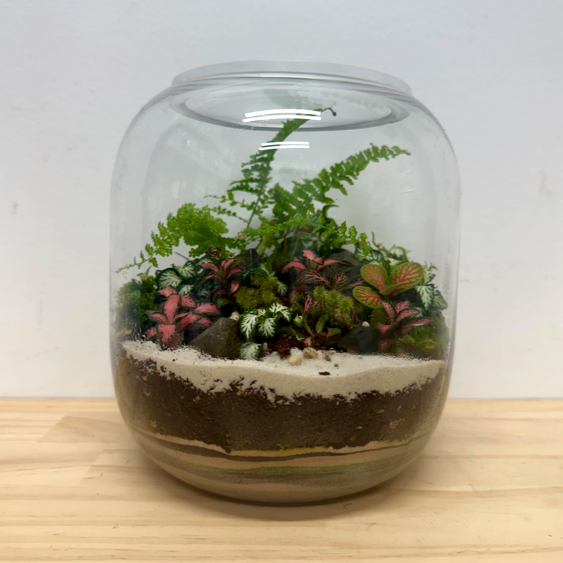 Tropical Terrarium  *Waiheke Island Only*