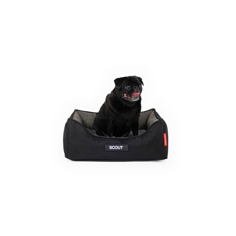 Ezydog 2in1 Ortho Smart Dog Bed Black