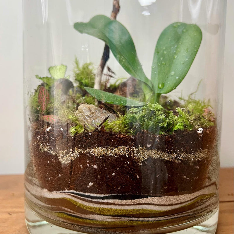 Terrarium