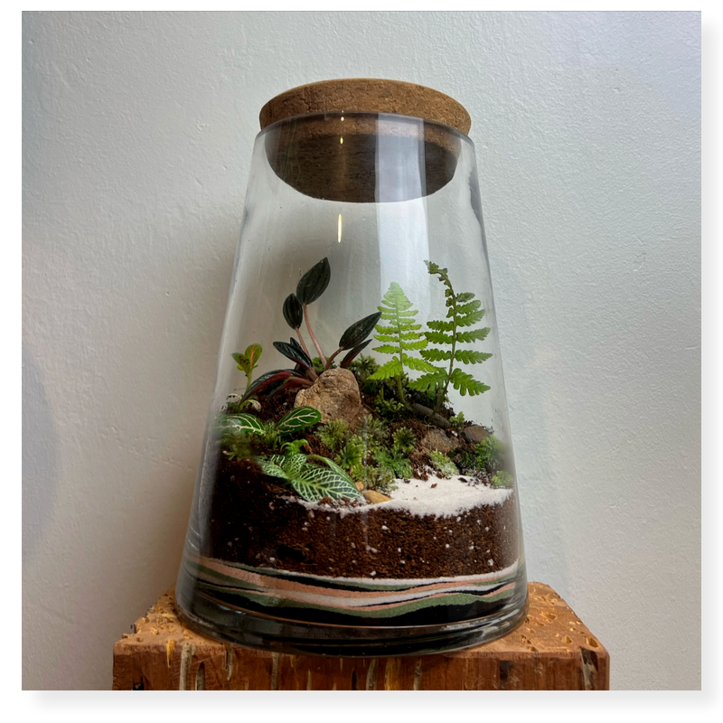 Terrarium