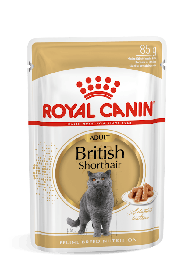 Royal Canin British Short Hair Adult Wet Food 85g pouches