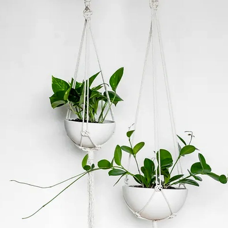 Macrame Plant Hanger